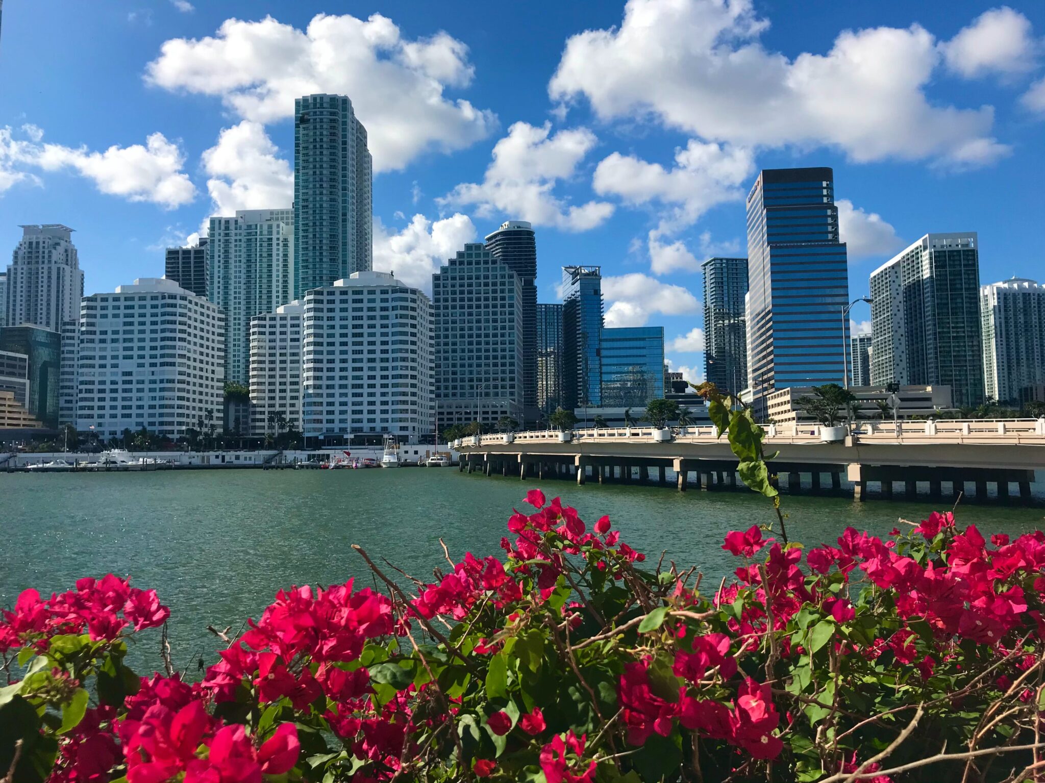 Local SEO Miami