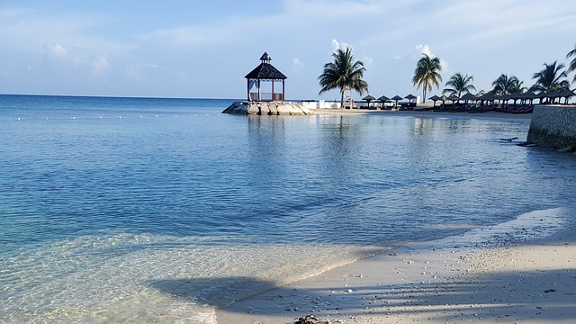 Digital Marketing Jamaica